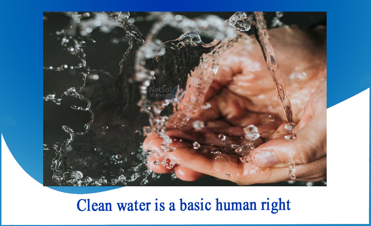 the right to water, right to water in India, right to water article 31
